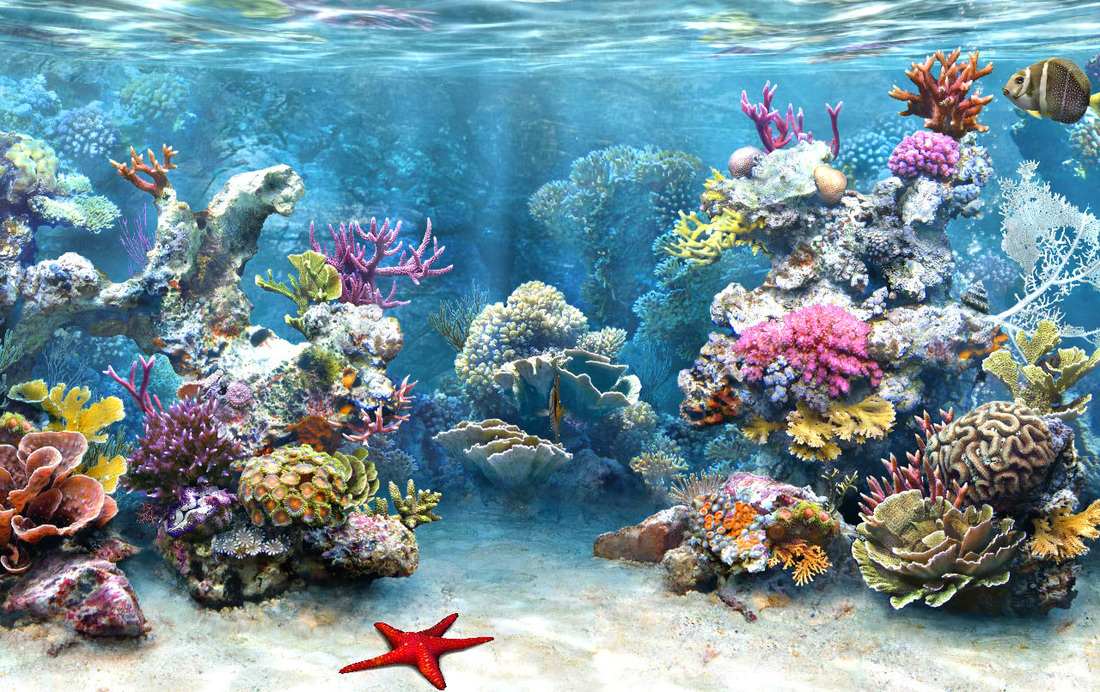 Ocean Biome Plants